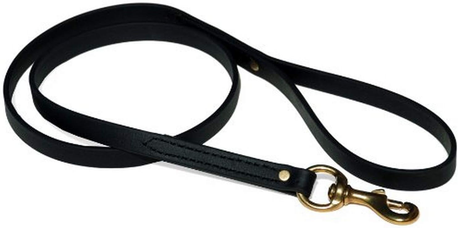 Durable Leash